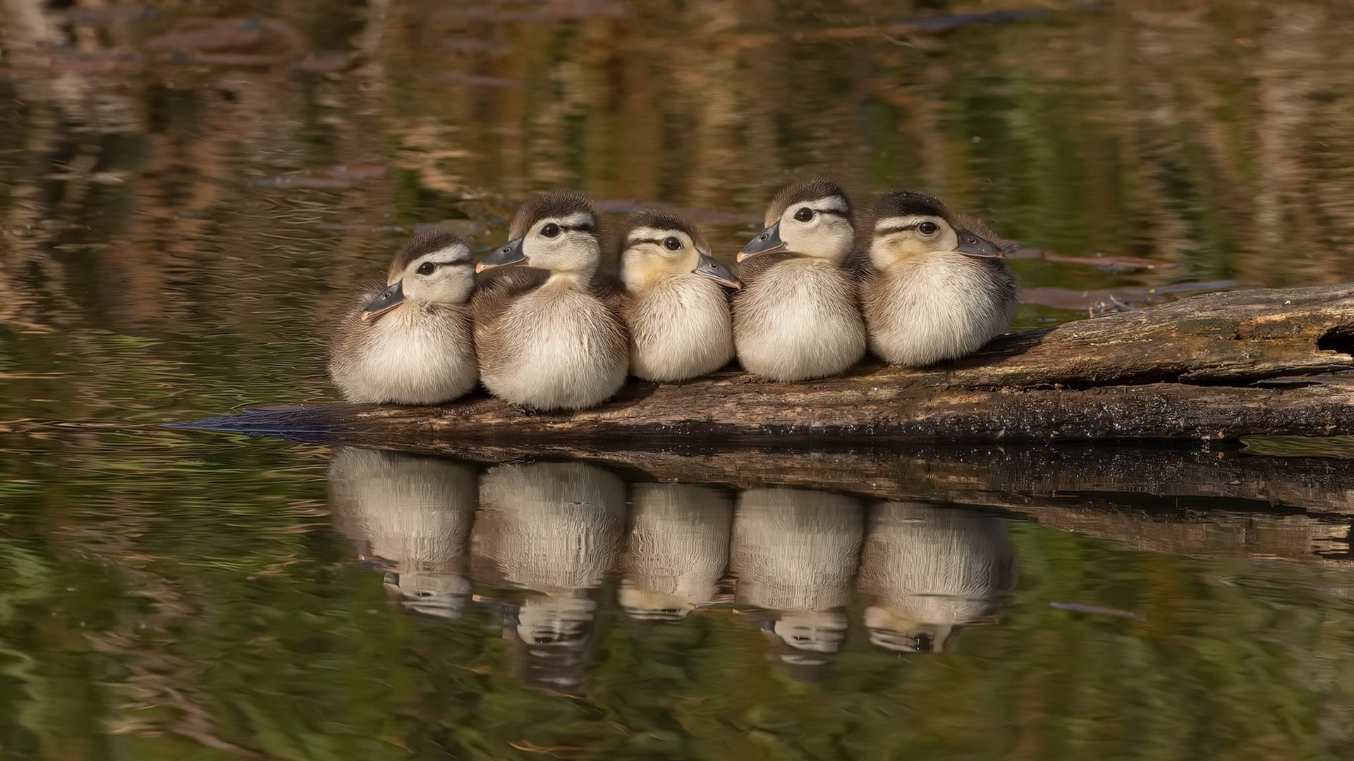 爱游戏-绿茵场上的乒乓头脑，梁靖崑的非常规智慧助英格兰力克瑞典