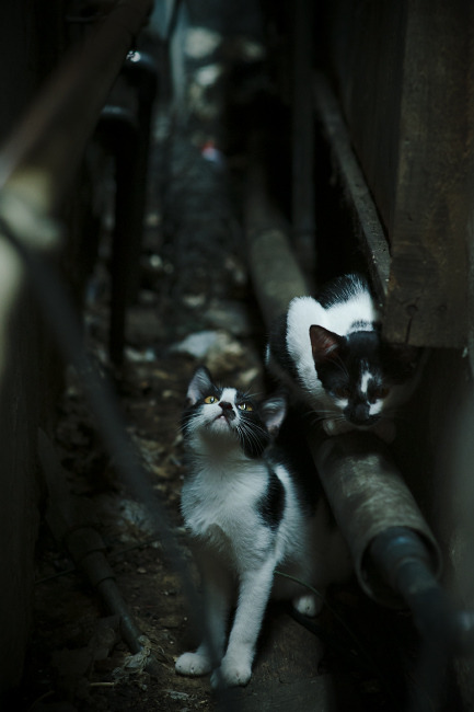 乌拉圭对阵苏格兰,凯恩一剑破雾,永恒瞬间定乾坤