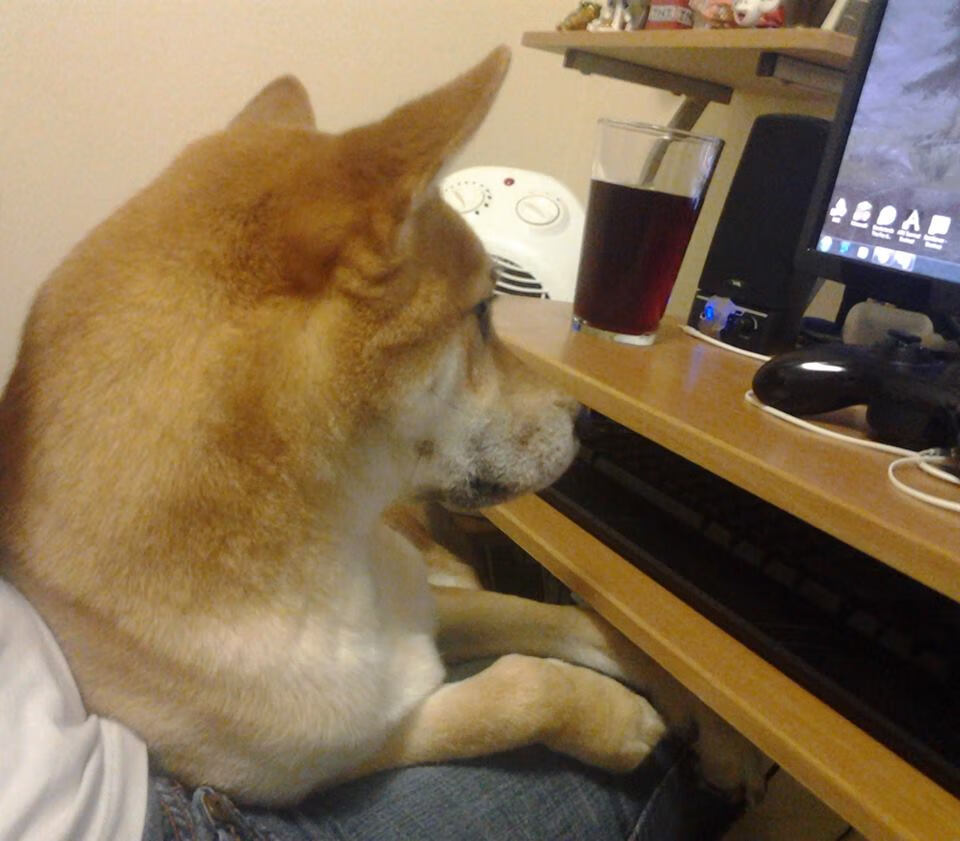 爱游戏娱乐-末节惊雷，勇士逆转深圳启示录—哈登如何成为比赛的灵魂变奏家