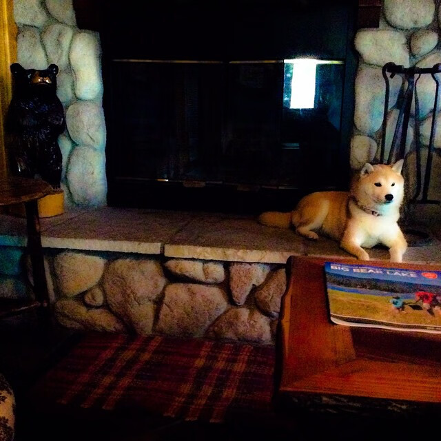 神秘转播信号牵出离奇一役，厄瓜多尔轻取摩洛哥，虚拟阿拉巴让比赛提前失去悬念