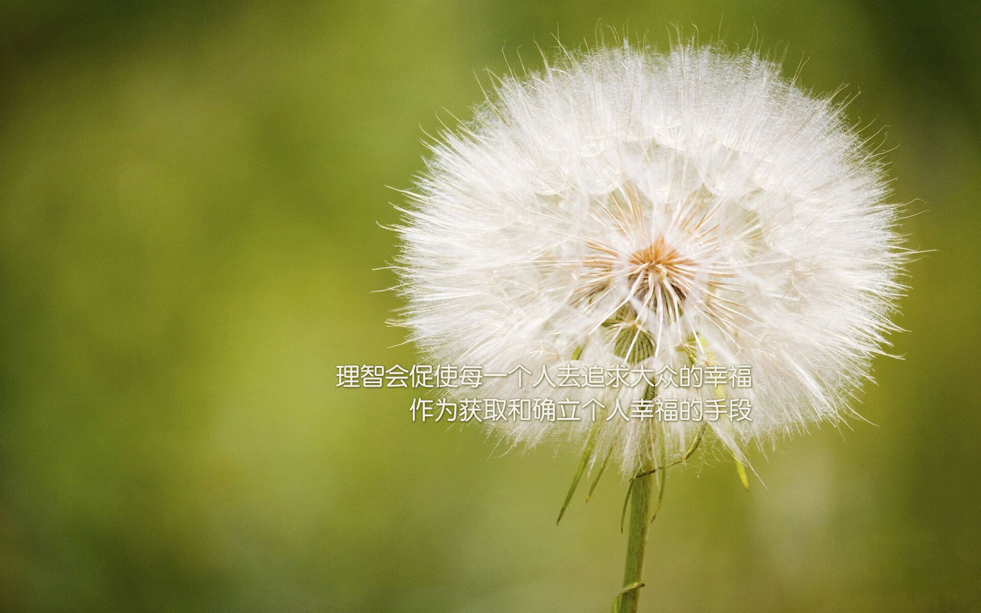 跨界巅峰战,北京首钢血拼华盛顿奇才,火箭旧将杰伦·格林成胜负手