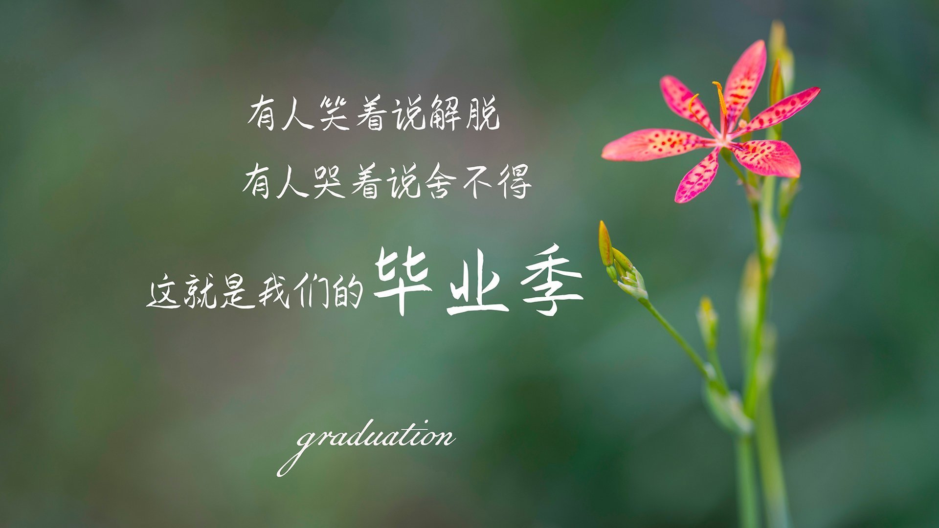 独舞与交响，内马尔的瞬间与克罗地亚的乐章