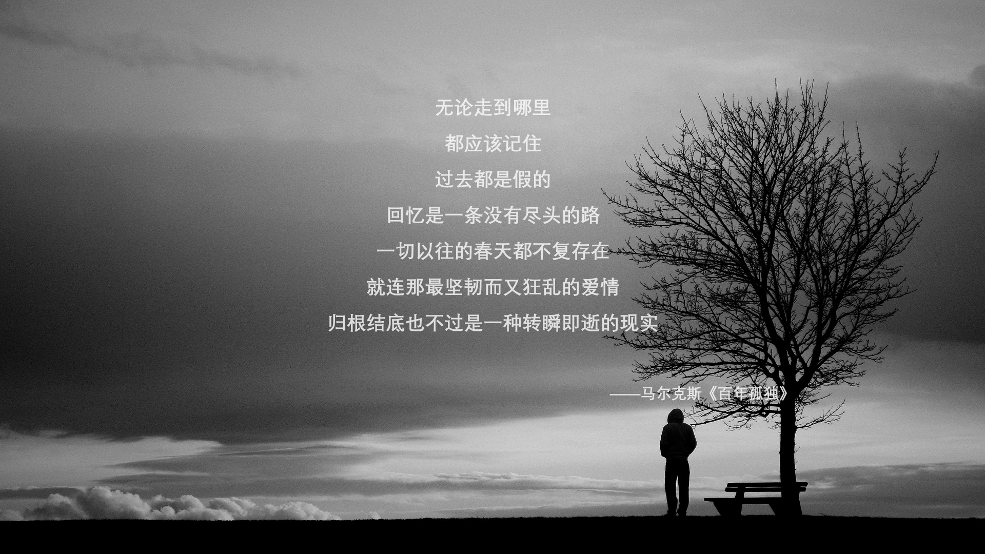 当冰霜之心燃起烈焰,哈兰德在奥地利堡垒前刺穿尤文图斯的黄昏