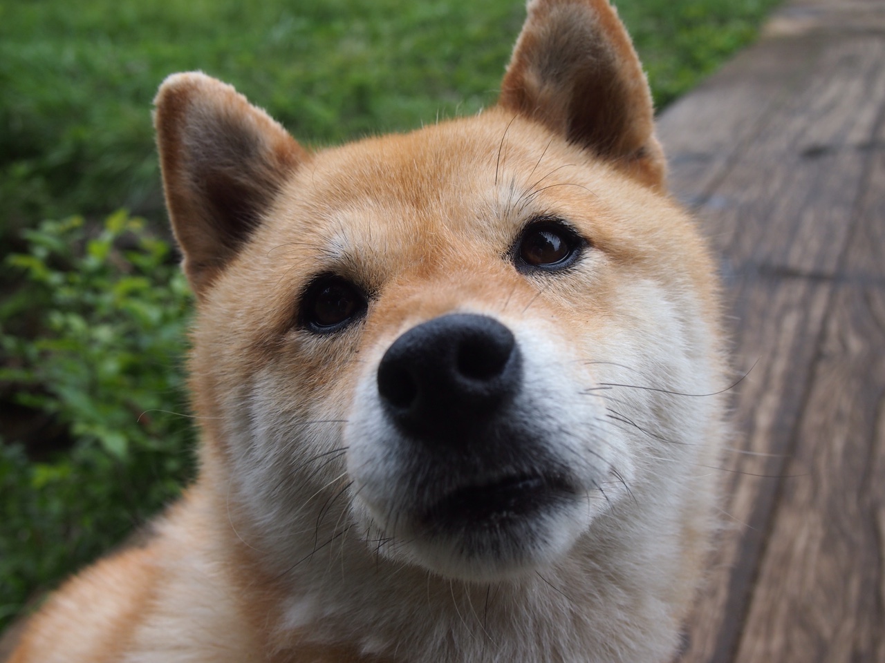 雷霆血拼尼克斯,一场定义篮球未来的年度焦点之战