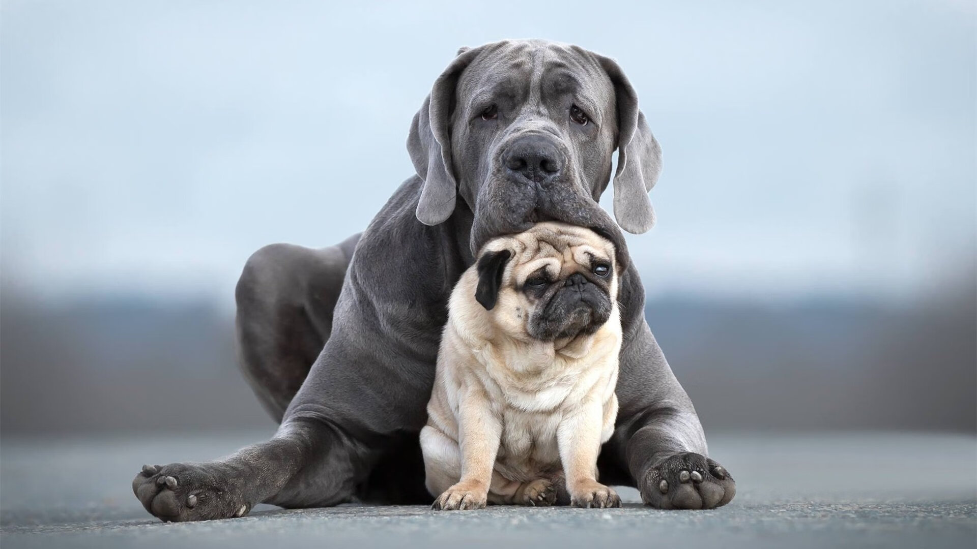 亚洲之力的双重奏，三笘薰的单骑突破，摩洛哥加时赛的坚毅胜利