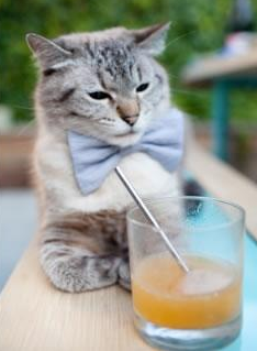 爱游戏大厅-不是核心，恰是指挥家，欧冠之夜的楚阿梅尼交响曲