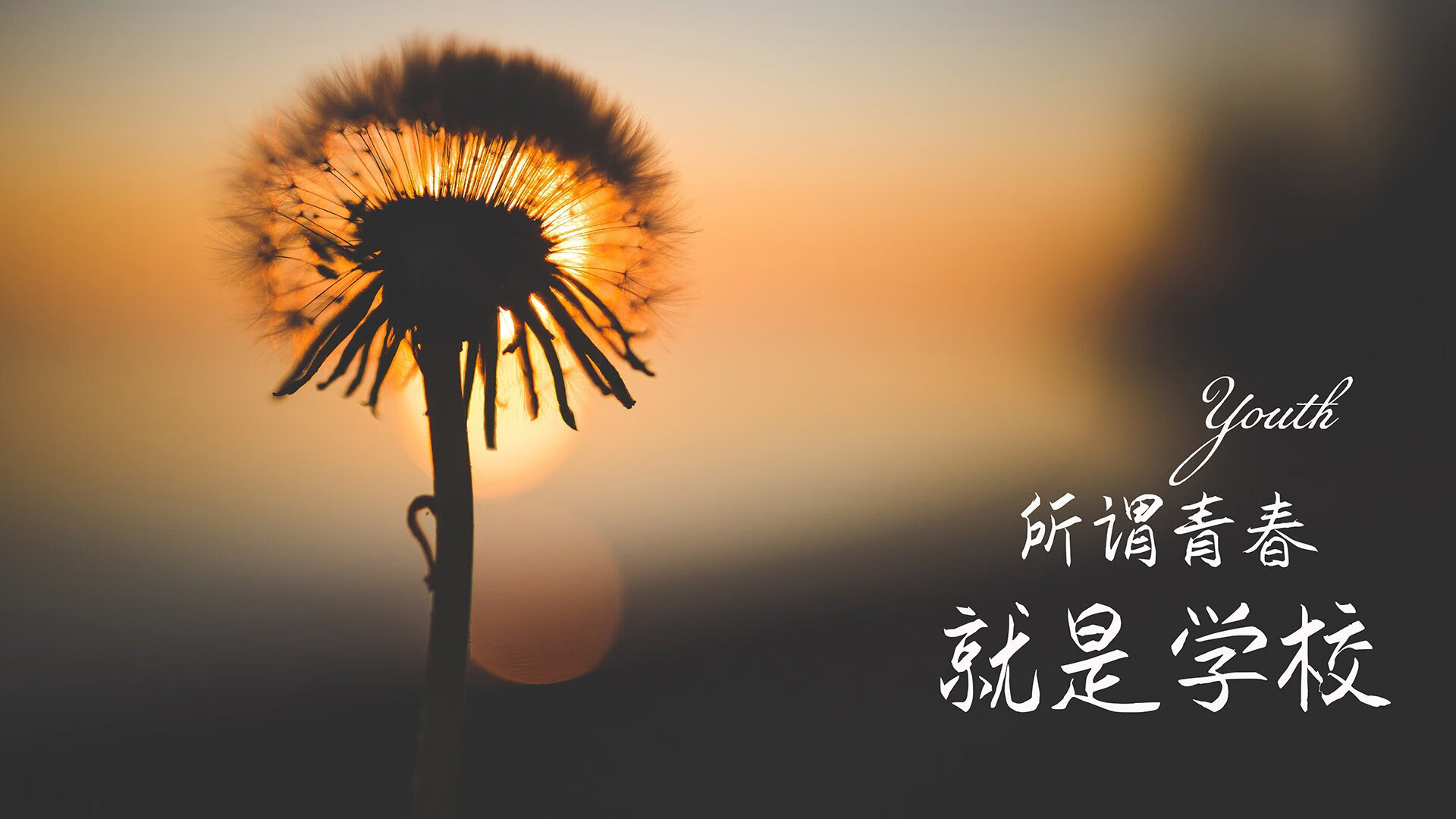 橙衣军团的铁血逆袭,2026世界杯D组荷兰绝境翻盘罗马尼亚,穆西亚拉独造三球彰显王者之气